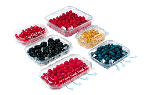 INFIA rPET fruit packaging with berries from Naturpac