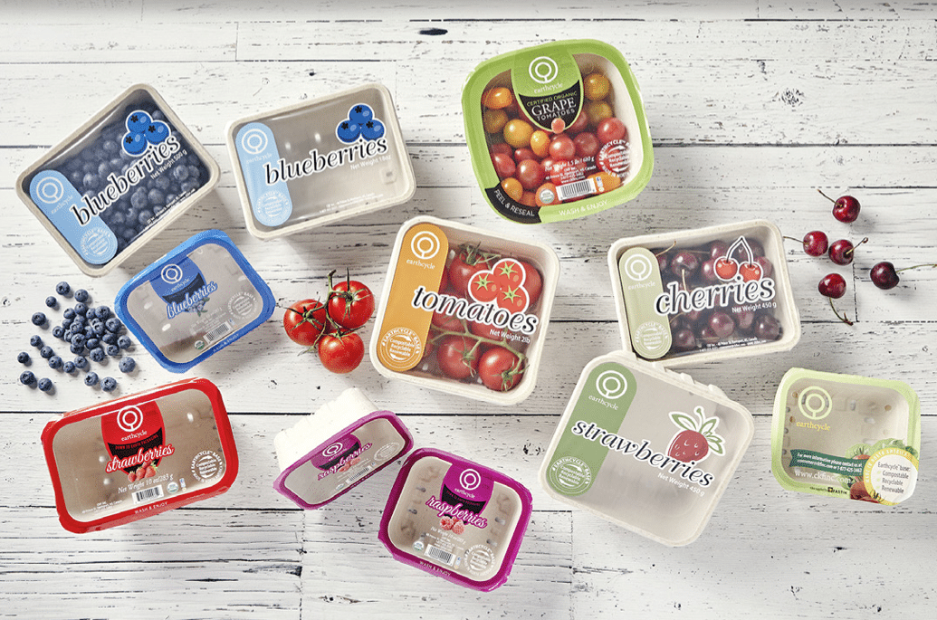 Earthcycle sustainble fruit packaging punnets scattered with grapes, blueberries and tomatoes