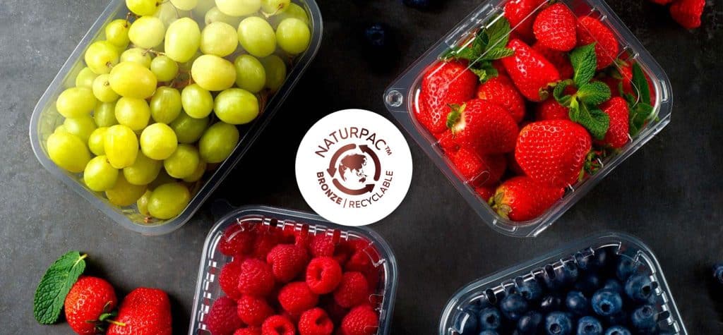 INFIA Packaging with grape punnets, strawberry punnets and berries punnets