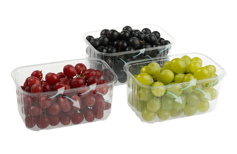Infia RPET punnets stocked by Naturpac Ecopackaging