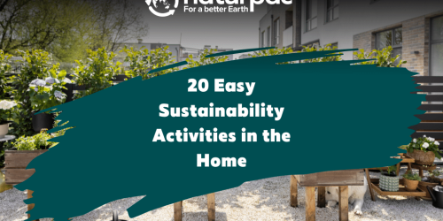 20 Easy Sustainability Activities in the Home