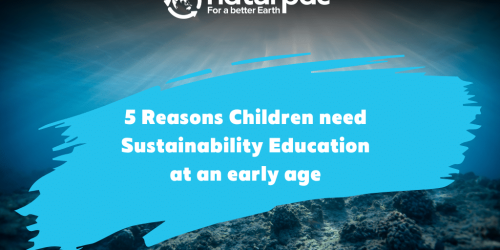 5 Reasons Children need sustainability education at an early age head banner witg ocean as the background and Naturpac logo